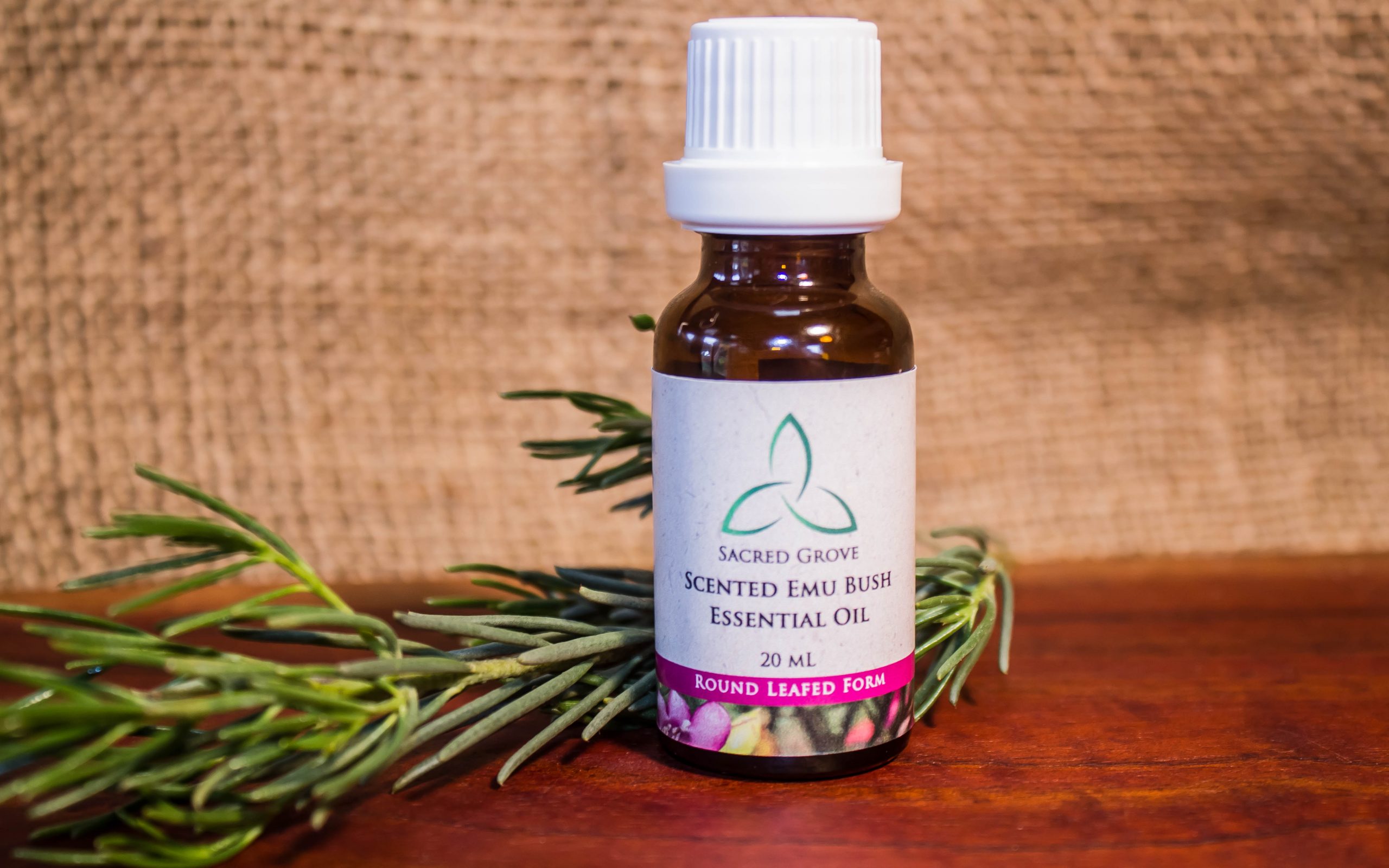 Scented-Emu-Bush-Essential-Oil-20ml-wide-scaled-1.jpg