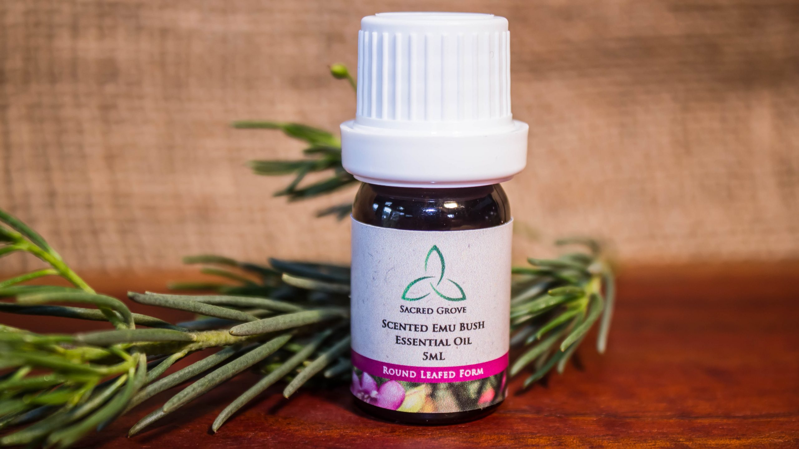 Scented-Emu-Bush-Essential-Oil-5ml-wide-scaled-1.jpg