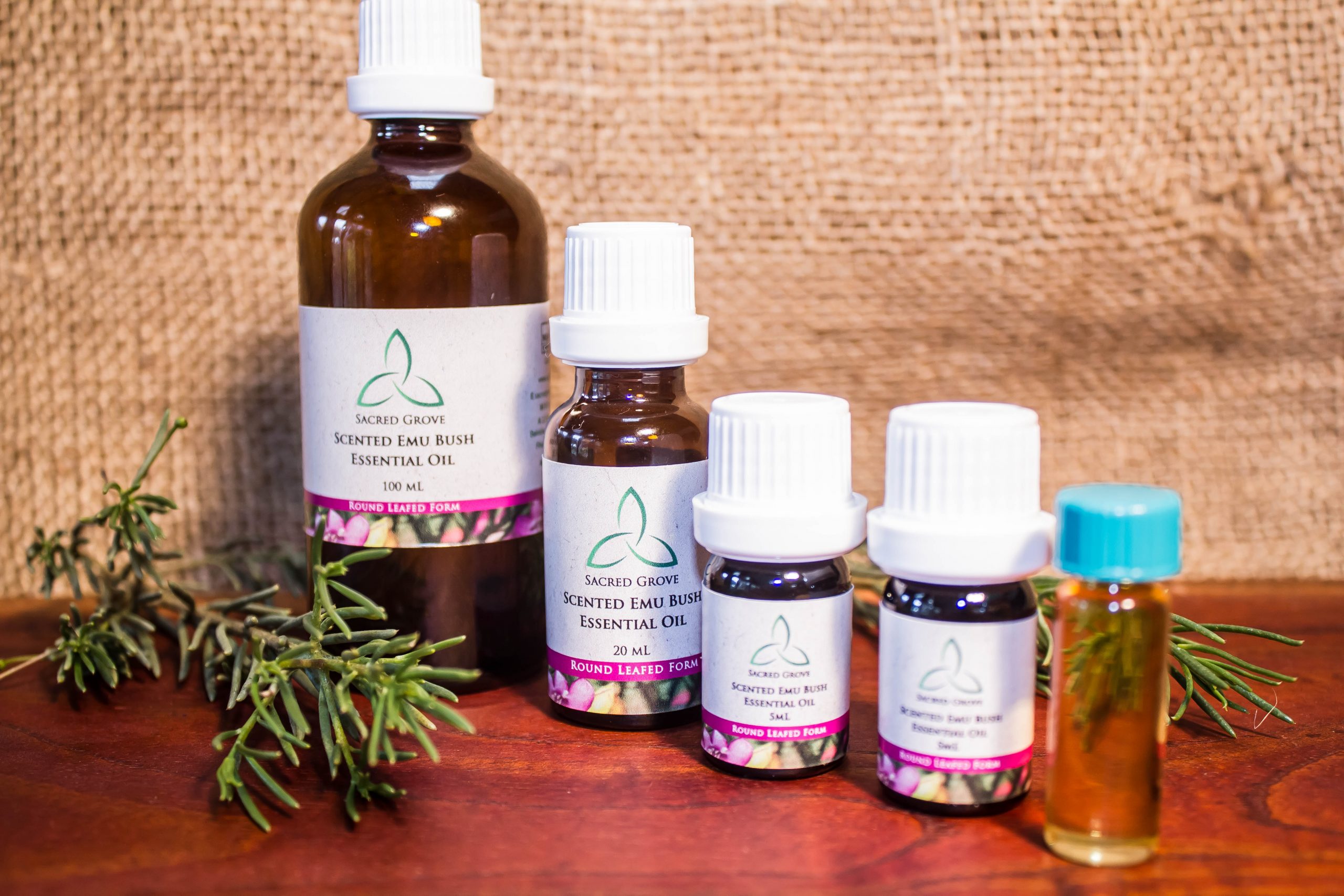 Scented-Emu-Bush-Essential-Oil-Group-wide-scaled-1.jpg