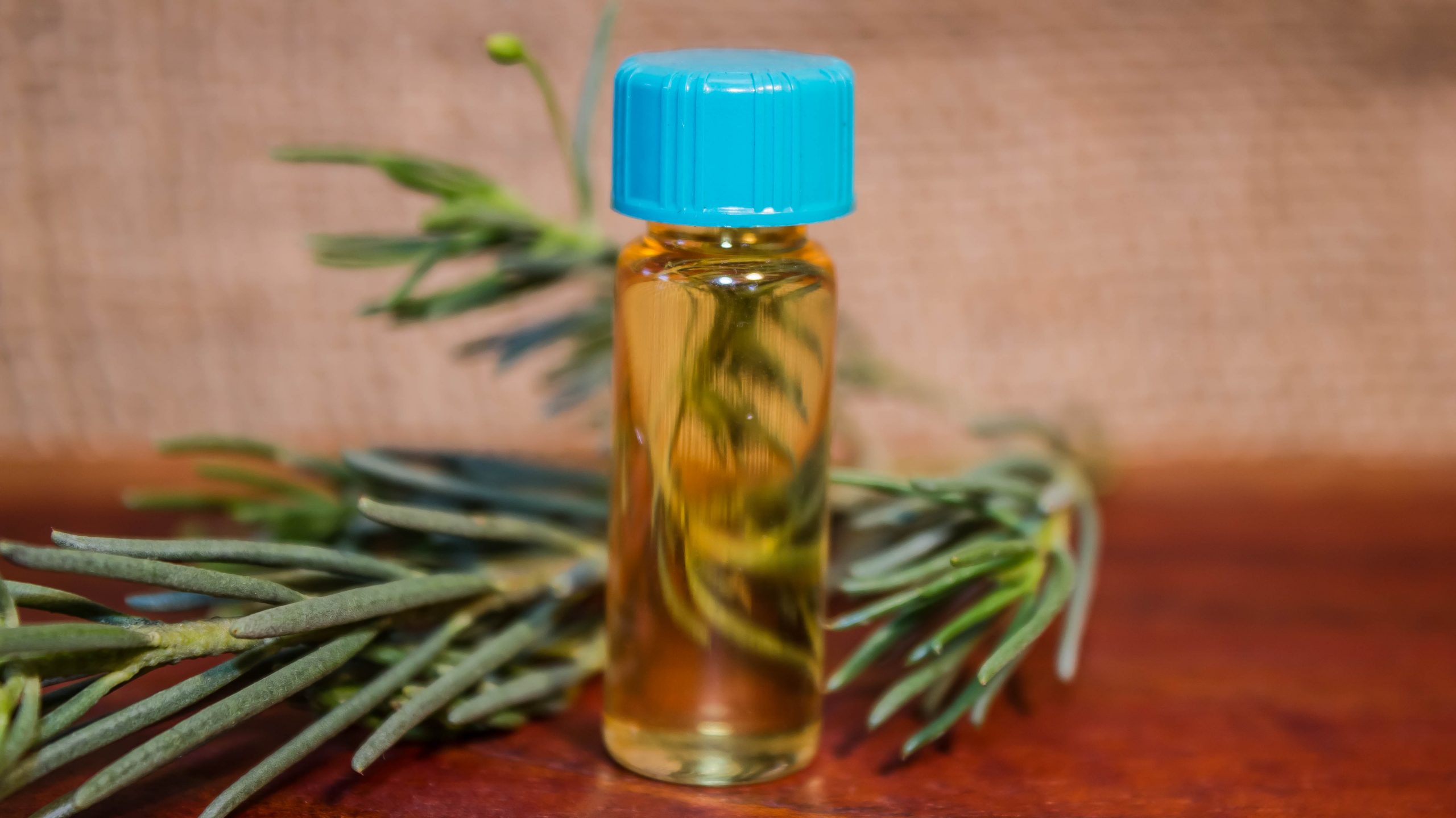 Scented-Emu-Bush-Essential-Oil-scaled-1.jpg